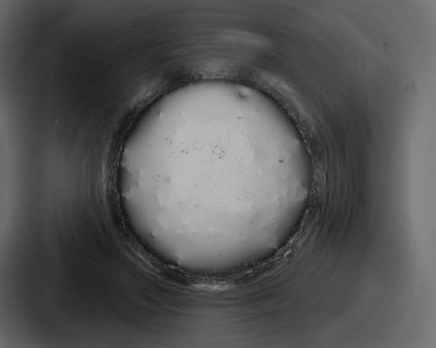 X0000086780499200705111758