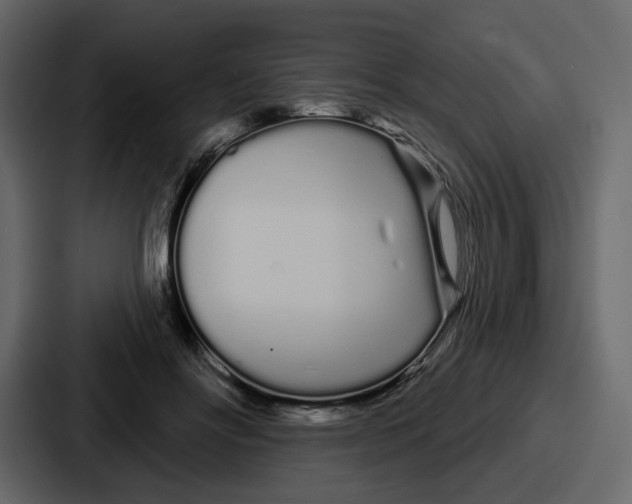 X0000086780502200705111758