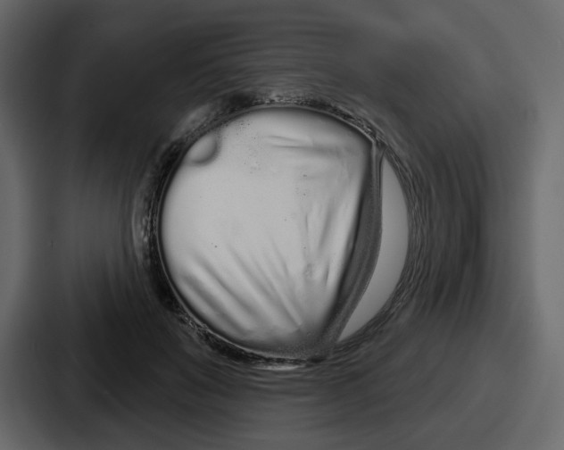 X0000086780503200705111758