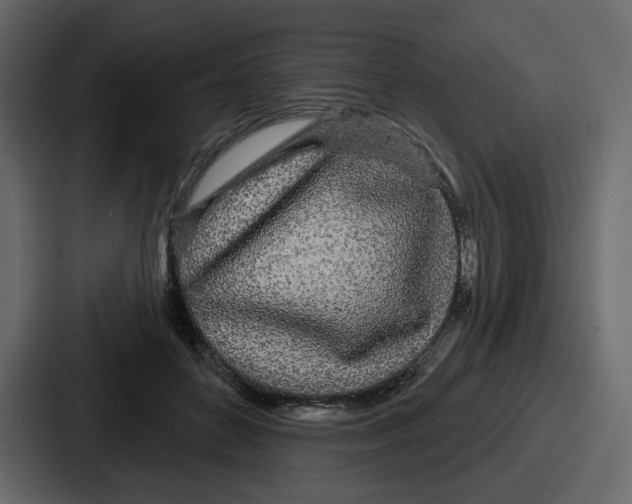 X0000086780504200705111758