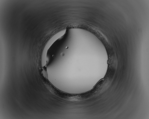 X0000086780505200705111758