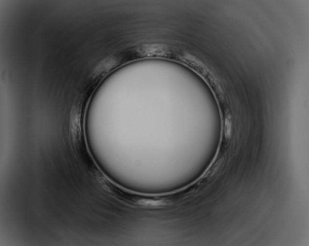 X0000086780506200705111758