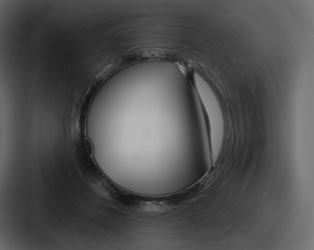 X0000086780508200705111758