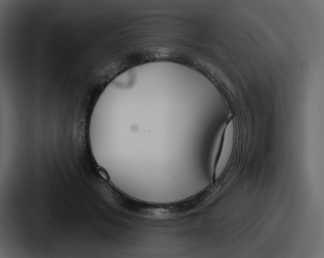 X0000086780509200705111757