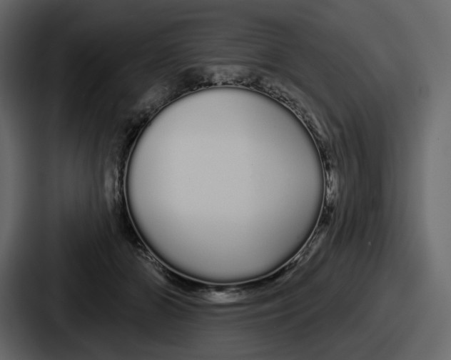 X0000086780510200705111757