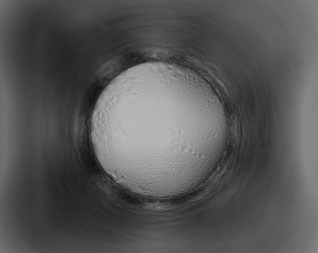 X0000086780511200705111757