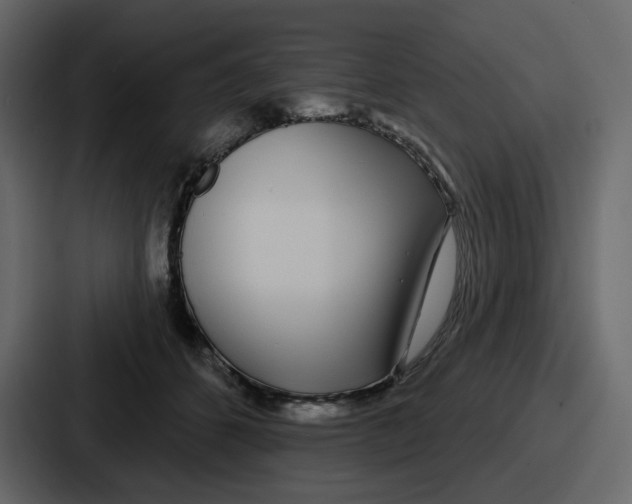 X0000086780512200705111757