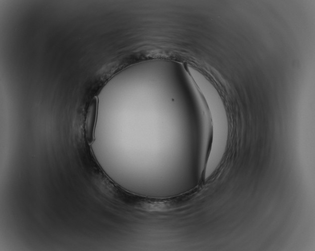 X0000086780513200705111757