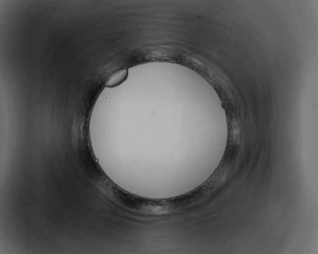 X0000086780514200705111757