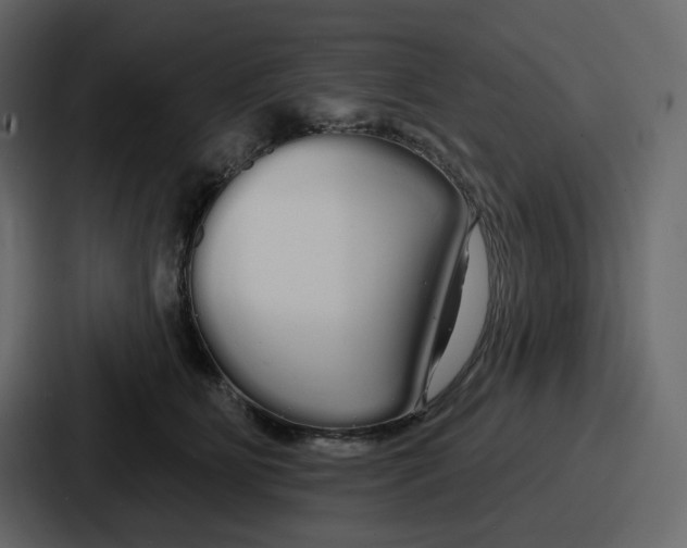 X0000086780515200705111757