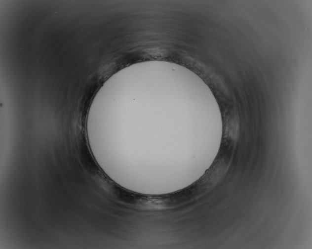 X0000086780518200705111757