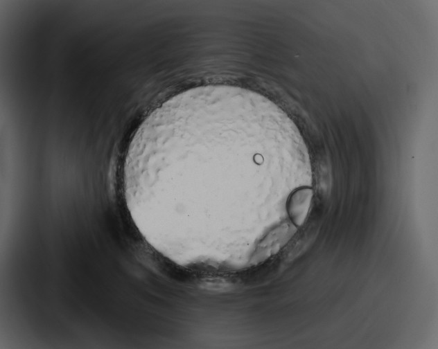 X0000086780519200705111757