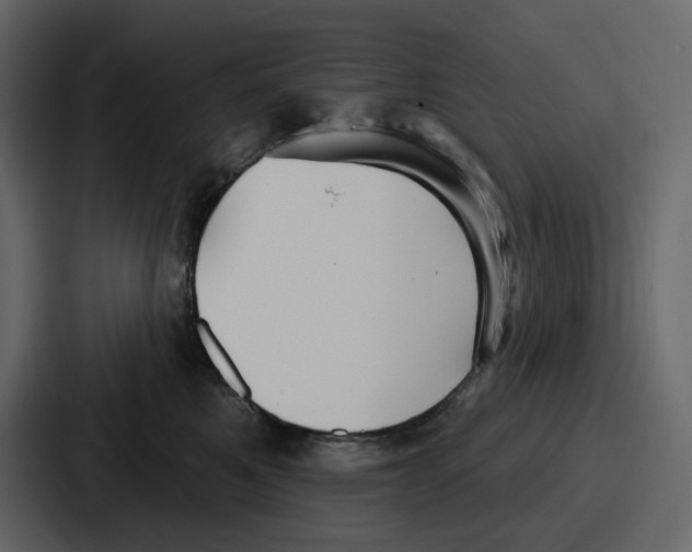 X0000086780521200705111757