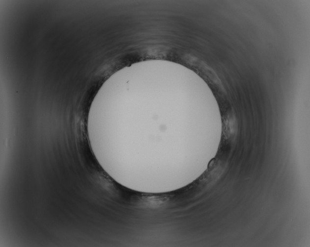 X0000086780522200705111757