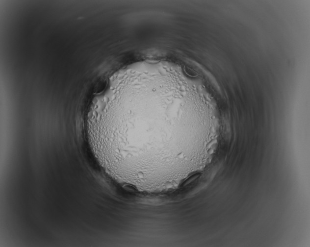 X0000086780523200705111757