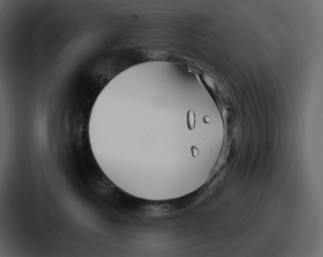 X0000086780525200705111757