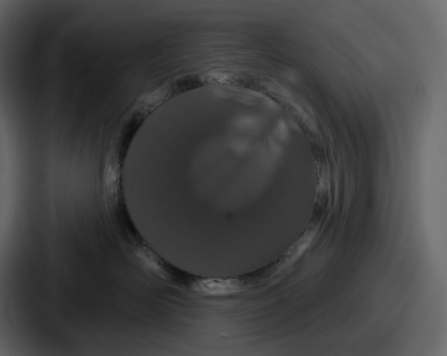 X0000086780526200705111757