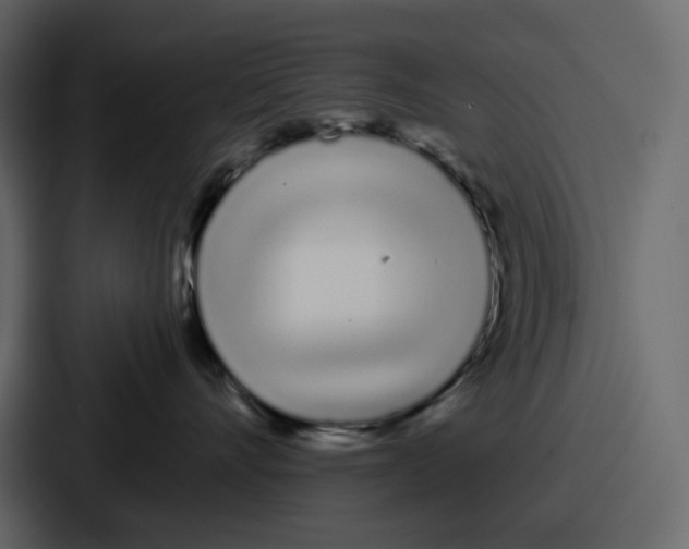 X0000086780528200705111757