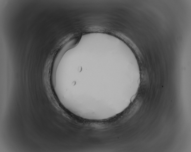 X0000086780529200705111757