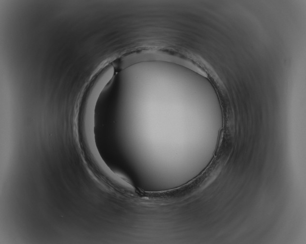 X0000086780530200705111757