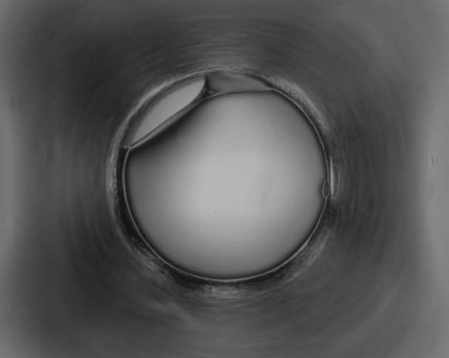 X0000086780531200705111757