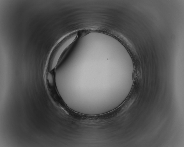 X0000086780532200705111757