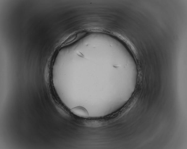 X0000086780533200705111757