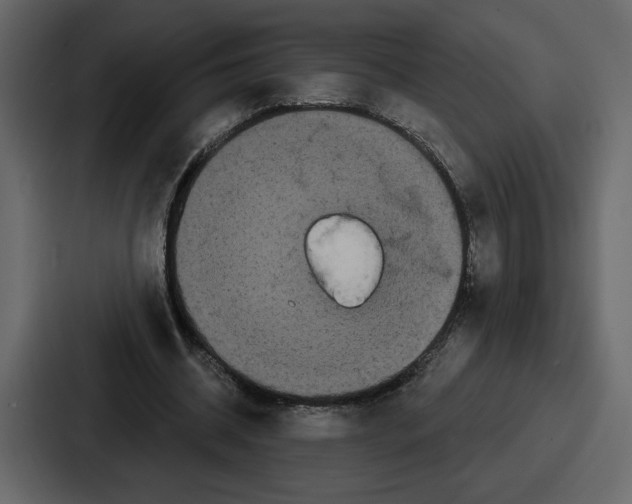 X0000086780534200705111757