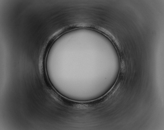 X0000086780535200705111757