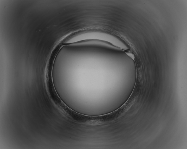 X0000086780536200705111757