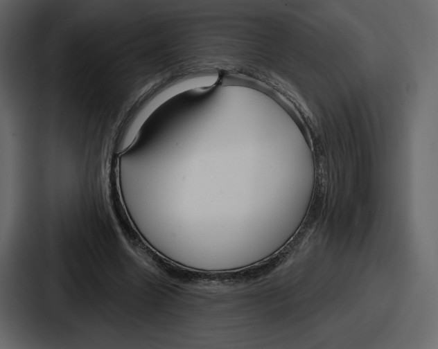 X0000086780538200705111757