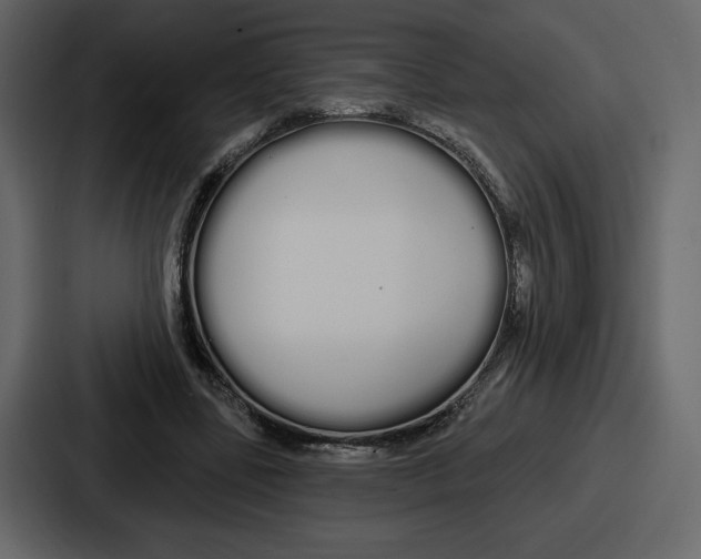 X0000086780539200705111757