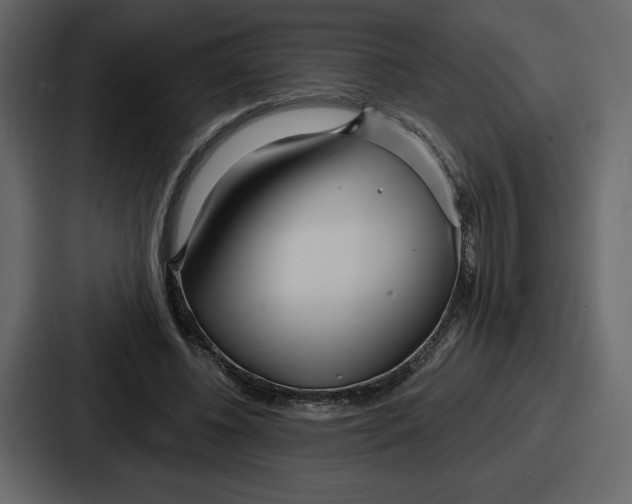 X0000086780540200705111757