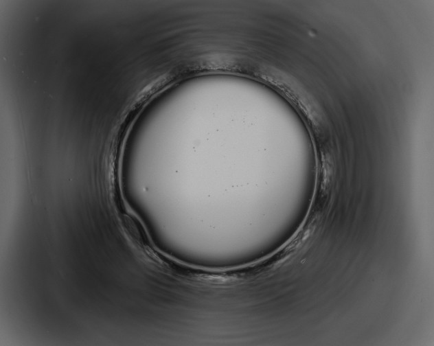 X0000086780542200705111757