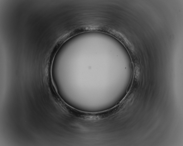 X0000086780543200705111757