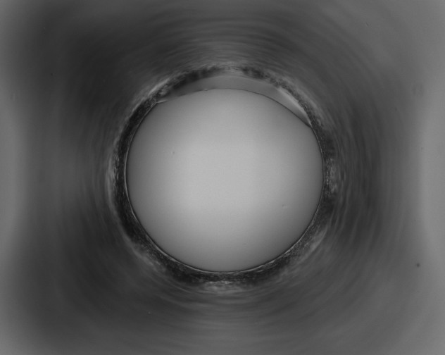 X0000086780544200705111757