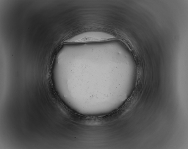 X0000086780545200705111757