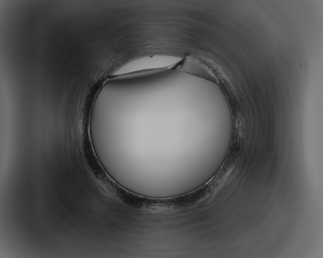 X0000086780546200705111757