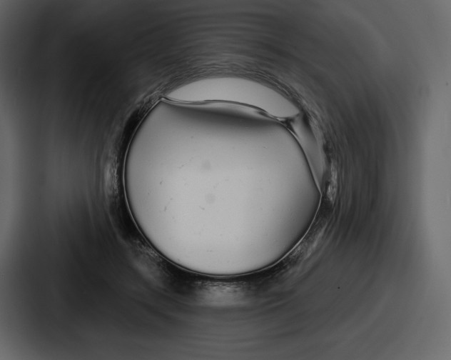 X0000086780547200705111757