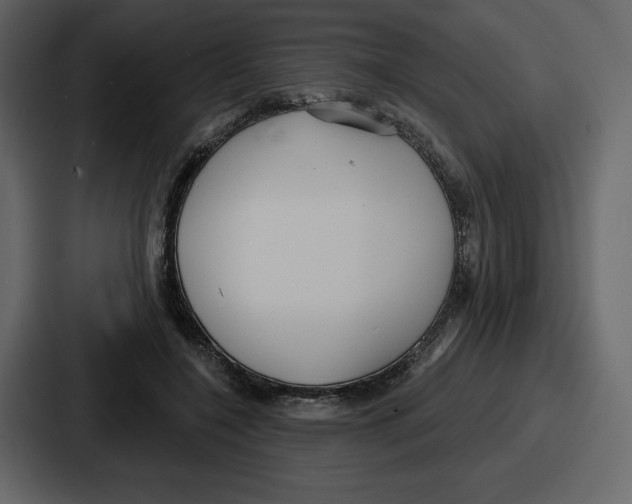 X0000086780548200705111757