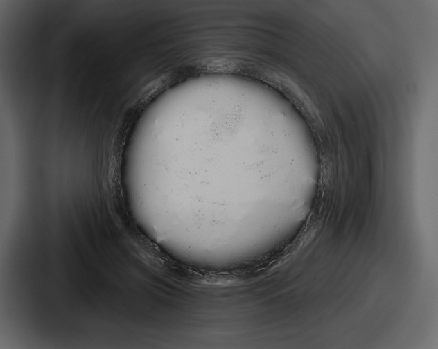 X0000086780549200705111757