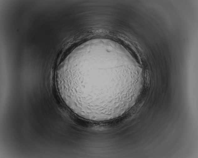 X0000086780550200705111757