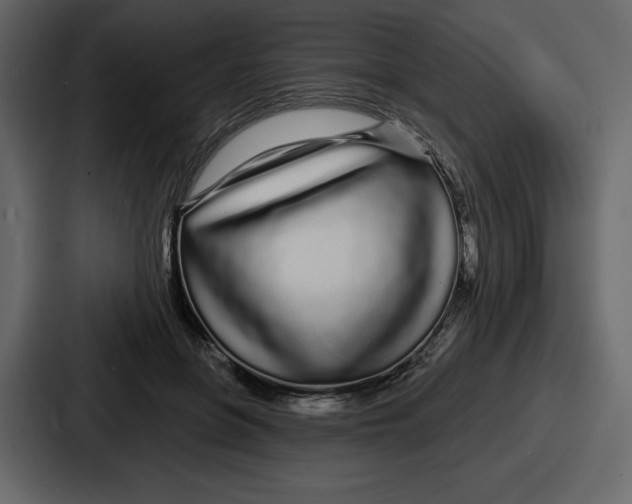 X0000086780551200705111757