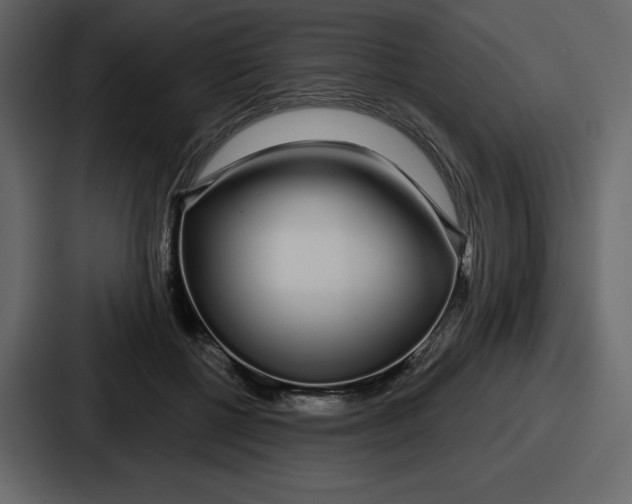 X0000086780552200705111757