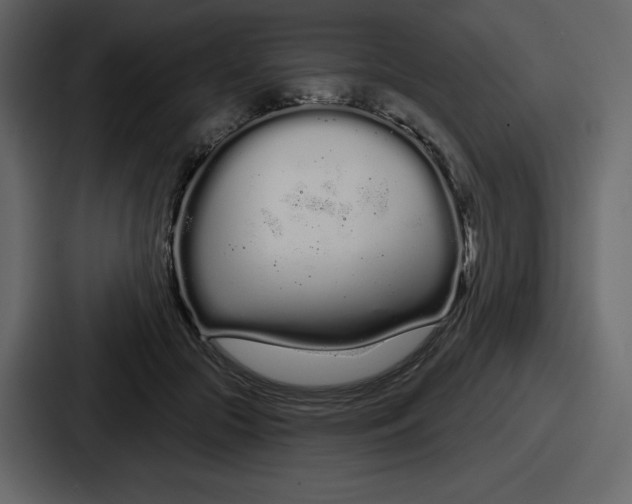 X0000086780553200705111757