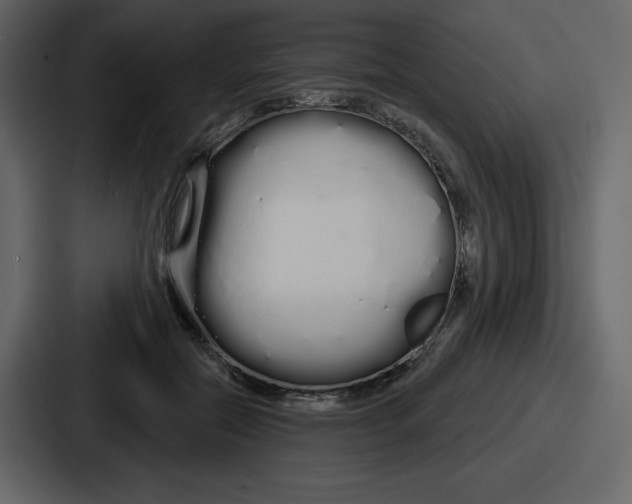 X0000086780554200705111757