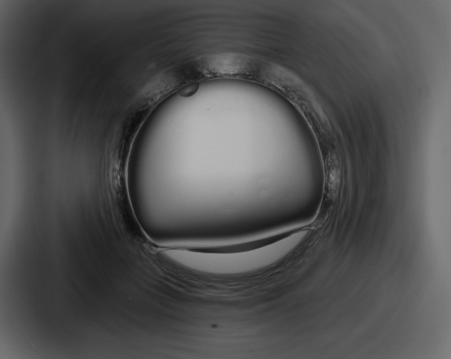 X0000086780555200705111757