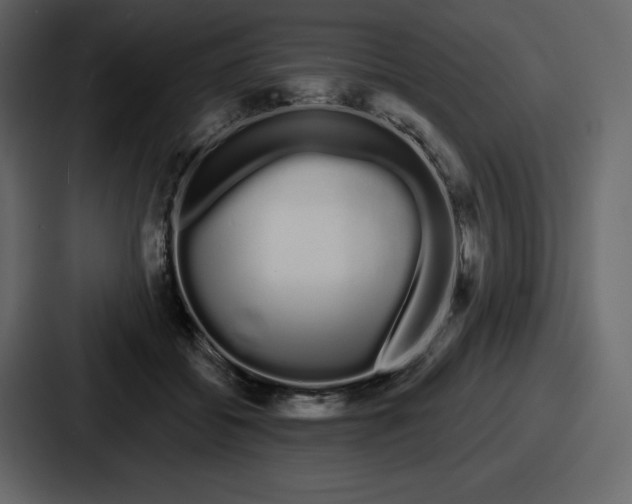 X0000086780556200705111757