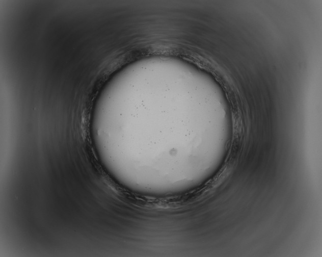 X0000086780557200705111757