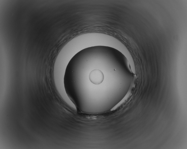 X0000086780558200705111757